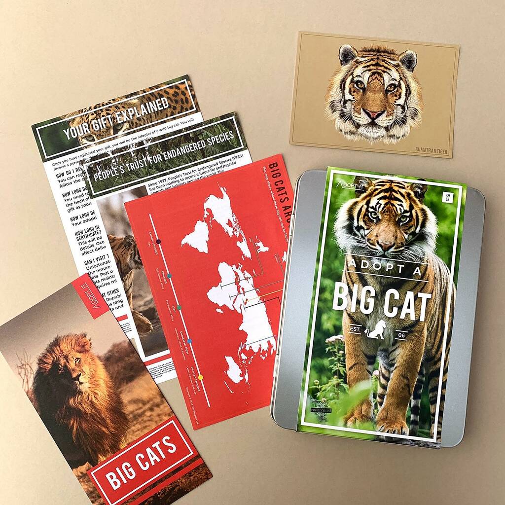 Adopt A Big Cat Gift Tin