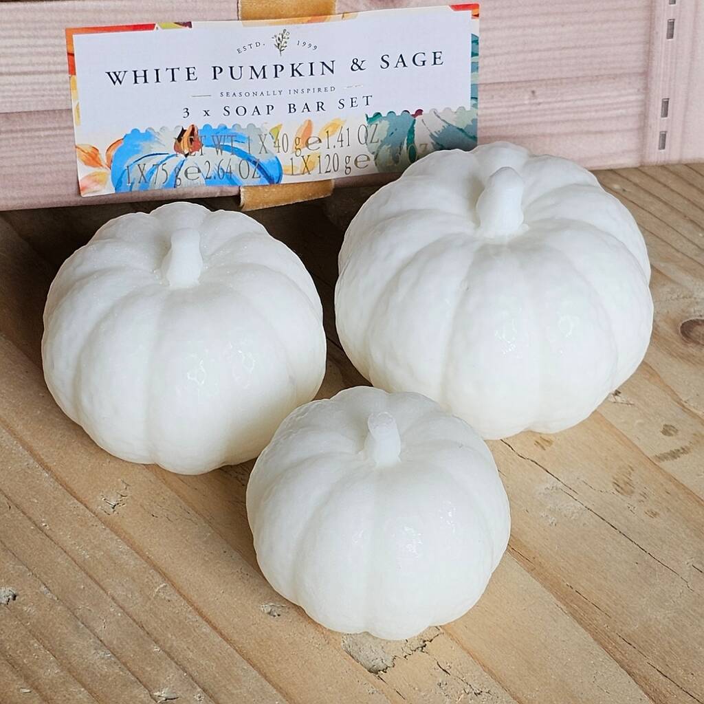 White Pumpkin And Sage 3pc Pumpkin Soap Bar Set, White