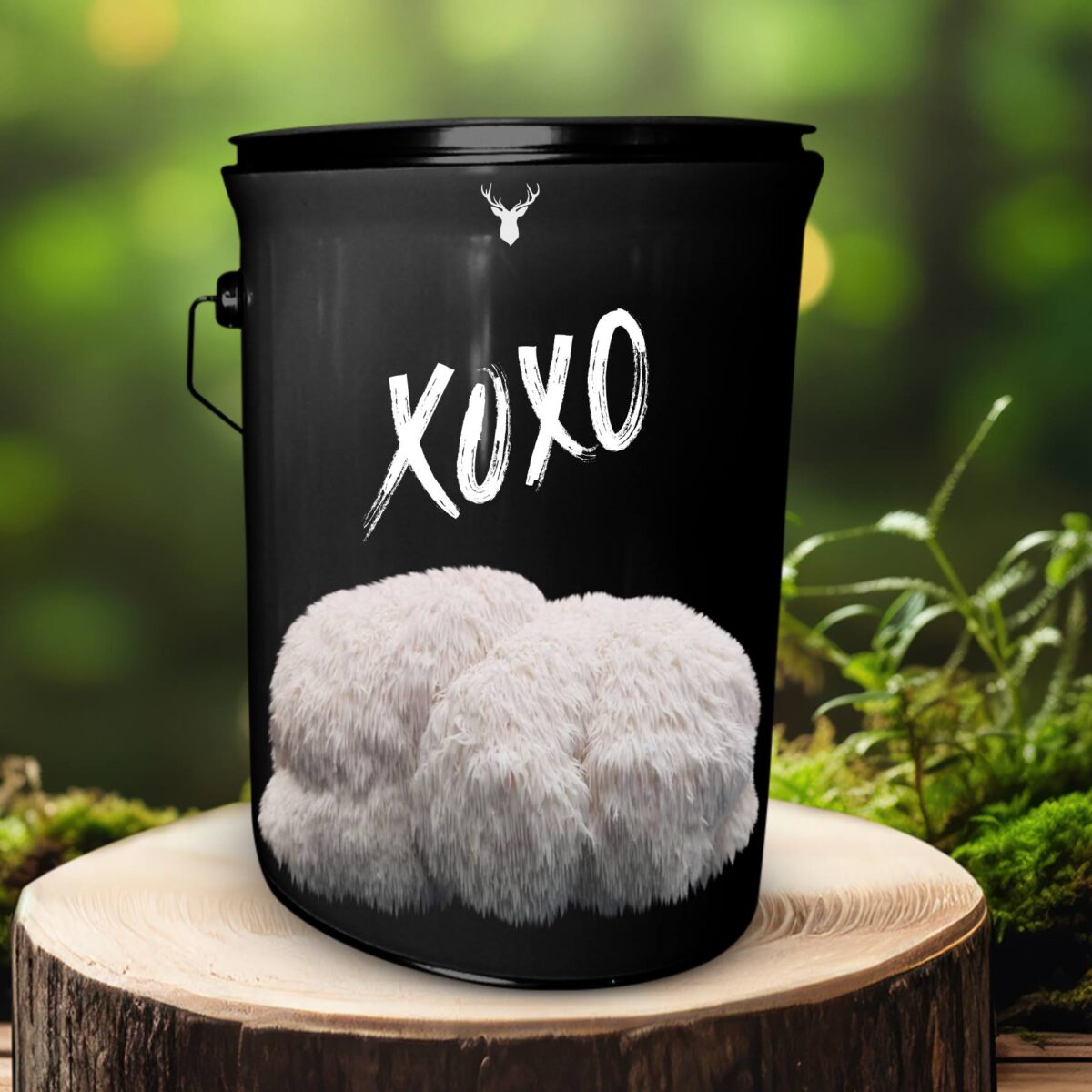 'XOXO' Lion's Mane Mushroom Grow Kit