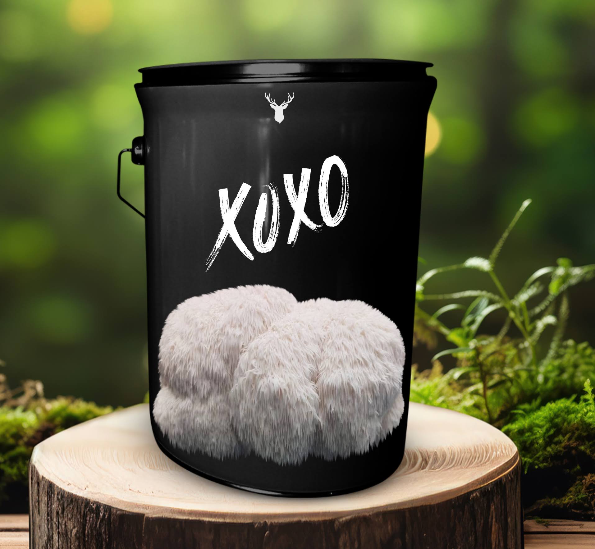 'XOXO' Lion's Mane Mushroom Grow Kit