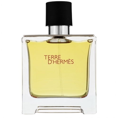 Hermes Terre D'Hermes -  100ml Eau De Toilette Spray