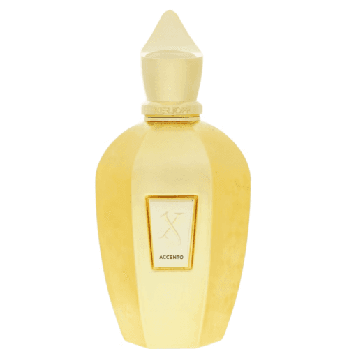 Xerjoff Accento Overdose Eau de Parfum 100ml